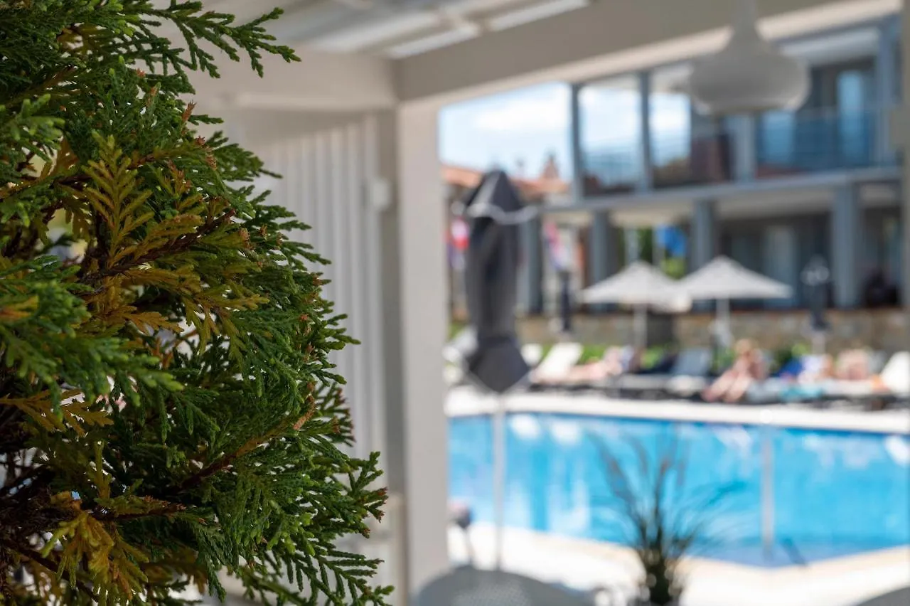 Dionysos Hotel & Suites Hanioti