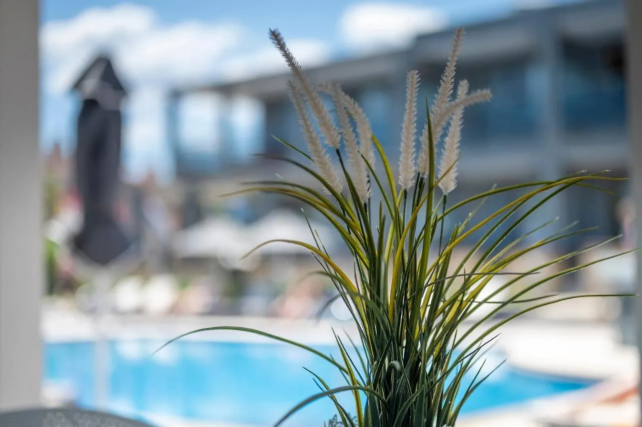 Dionysos Hotel & Suites Hanioti 3*,  Grecia